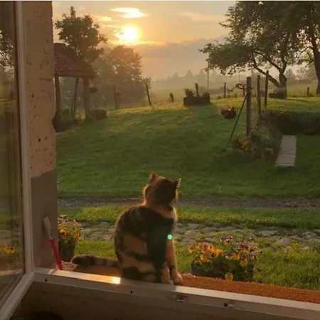 Le Petit Grange Le Lindois